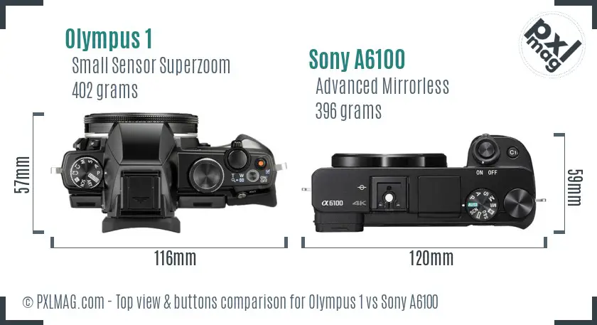 Olympus 1 vs Sony A6100 top view buttons comparison