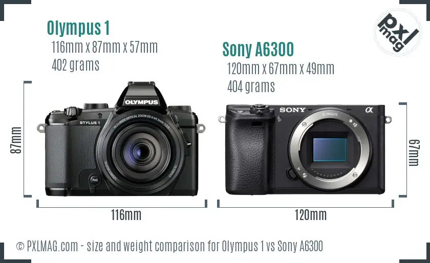 Olympus 1 vs Sony A6300 size comparison