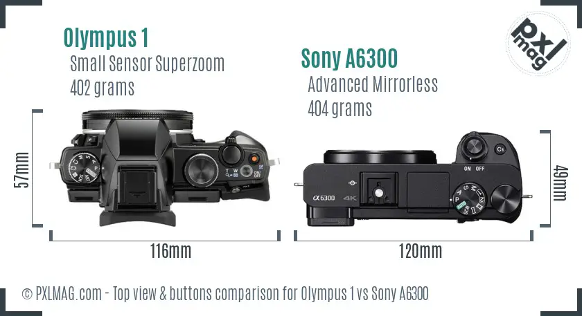 Olympus 1 vs Sony A6300 top view buttons comparison