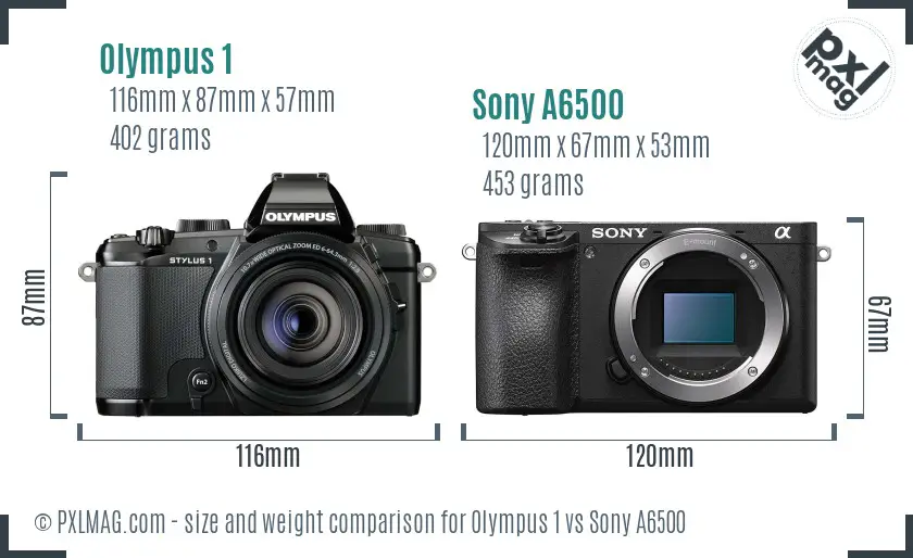 Olympus 1 vs Sony A6500 size comparison