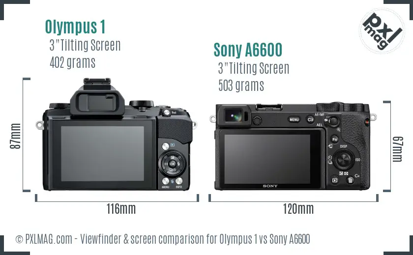 Olympus 1 vs Sony A6600 Screen and Viewfinder comparison