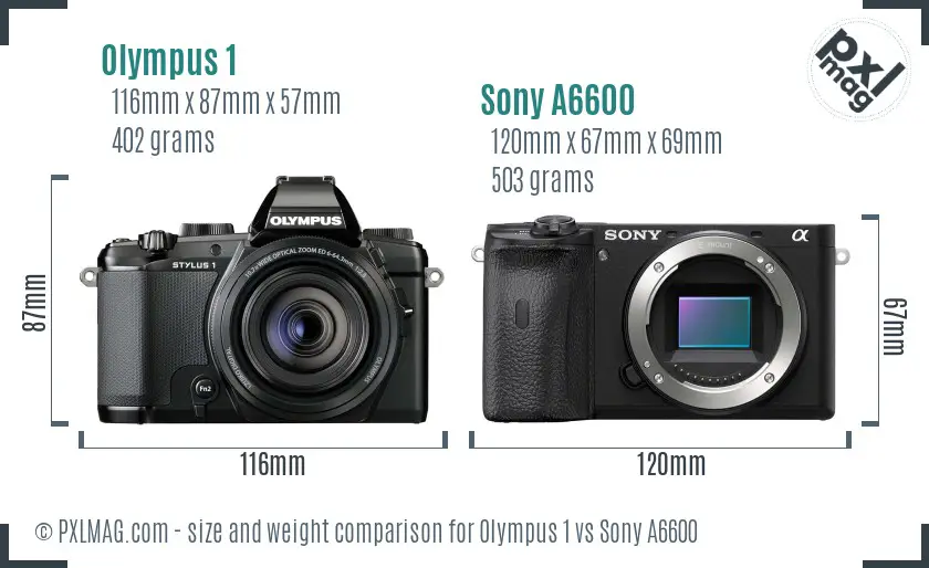 Olympus 1 vs Sony A6600 size comparison