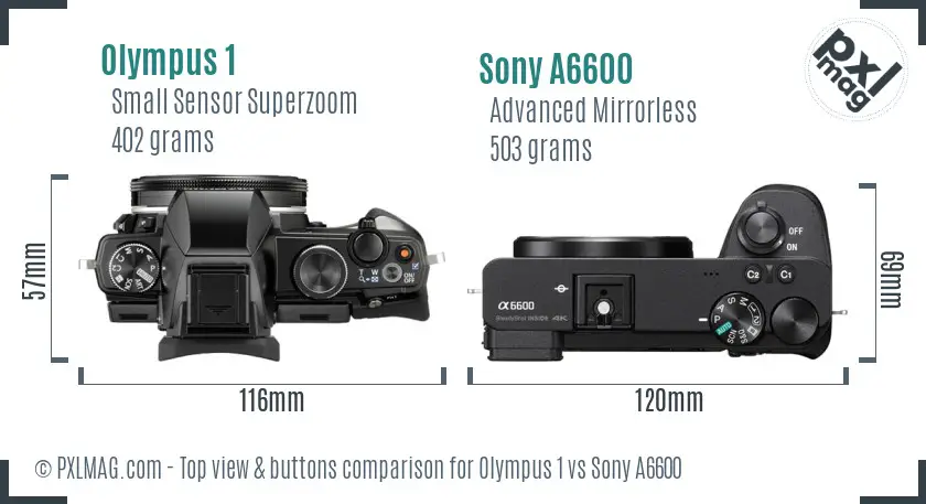 Olympus 1 vs Sony A6600 top view buttons comparison