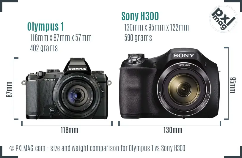 Olympus 1 vs Sony H300 size comparison