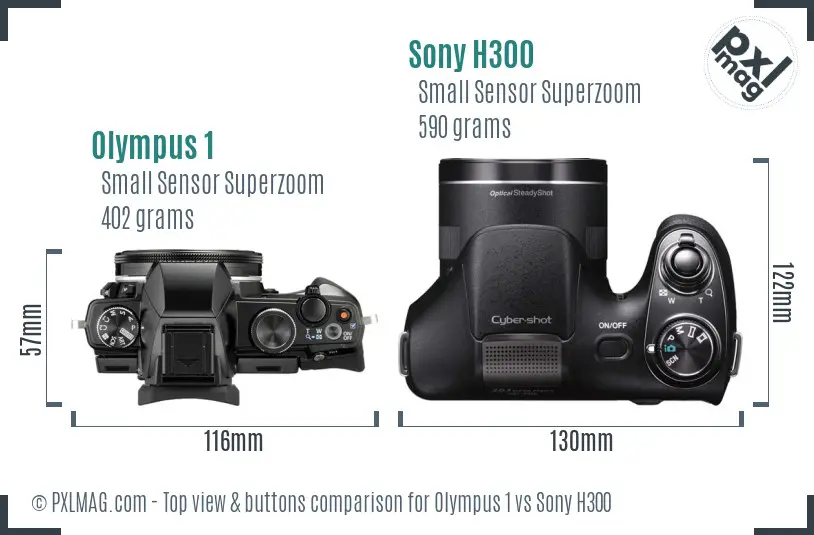 Olympus 1 vs Sony H300 top view buttons comparison