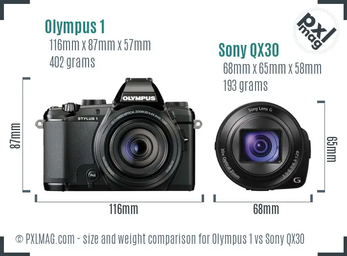 Olympus 1 vs Sony QX30 size comparison