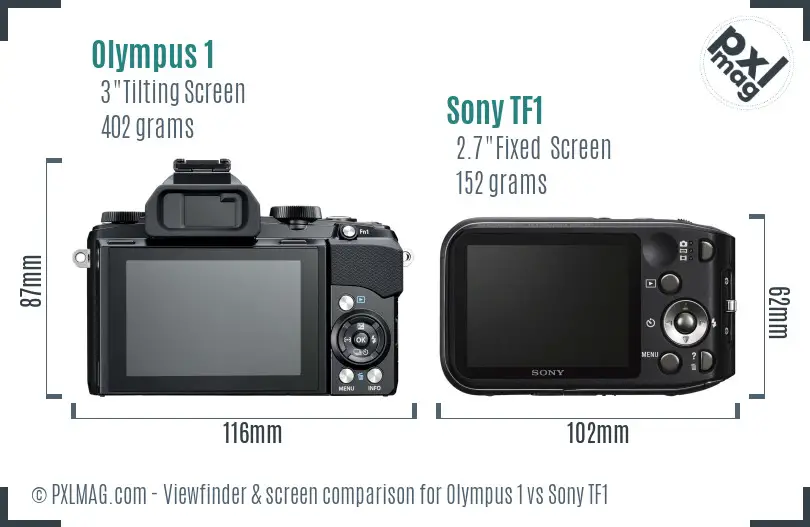 Olympus 1 vs Sony TF1 Screen and Viewfinder comparison