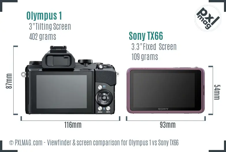 Olympus 1 vs Sony TX66 Screen and Viewfinder comparison