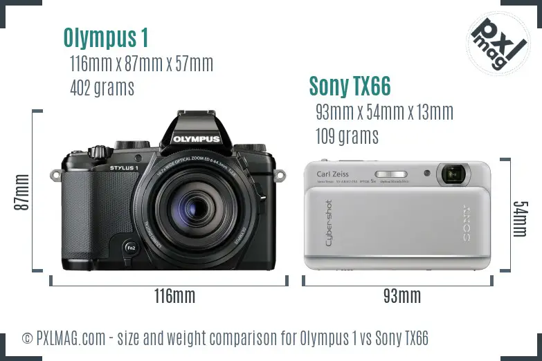 Olympus 1 vs Sony TX66 size comparison