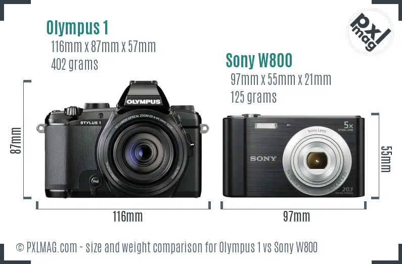 Olympus 1 vs Sony W800 size comparison