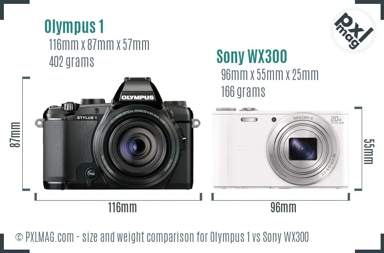 Olympus 1 vs Sony WX300 size comparison