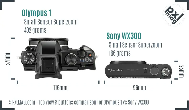 Olympus 1 vs Sony WX300 top view buttons comparison