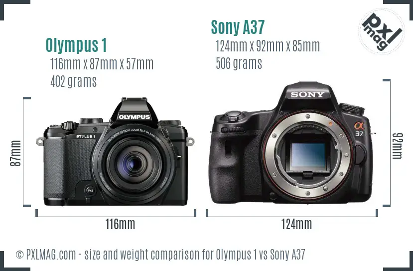 Olympus 1 vs Sony A37 size comparison Olympus 1 vs Sony A37 size comparison