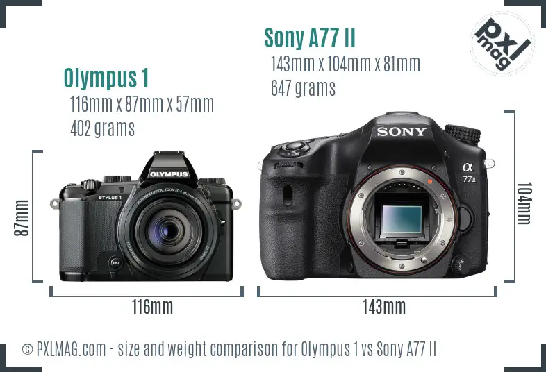 Olympus 1 vs Sony A77 II size comparison