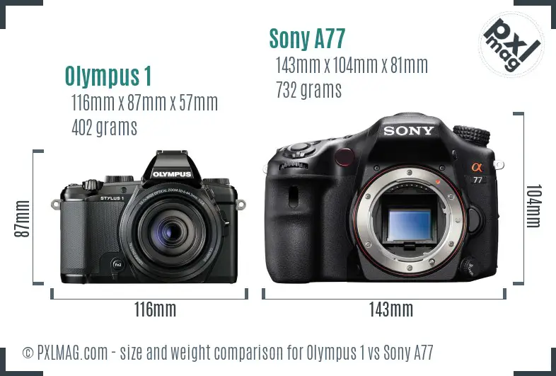 Olympus 1 vs Sony A77 size comparison