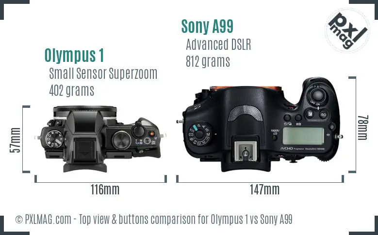 Olympus 1 vs Sony A99 top view buttons comparison
