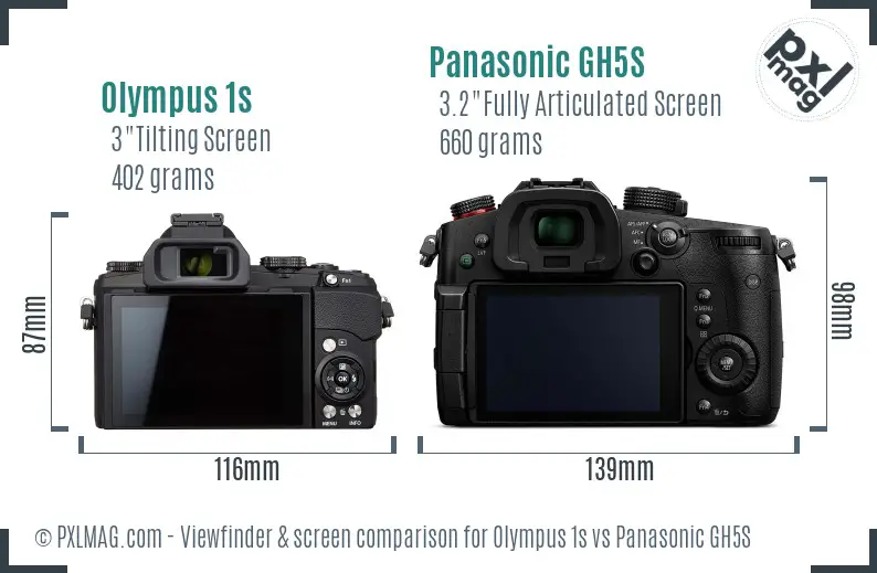 Olympus 1s vs Panasonic GH5S Screen and Viewfinder comparison