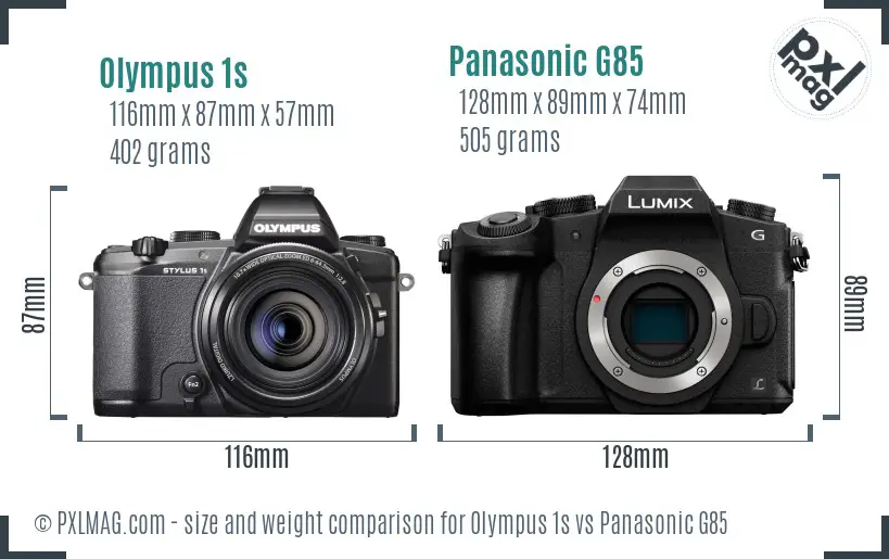 Olympus 1s vs Panasonic G85 size comparison