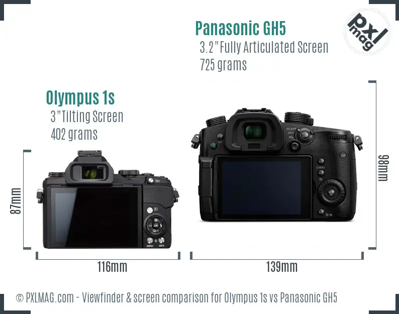 Olympus 1s vs Panasonic GH5 Screen and Viewfinder comparison