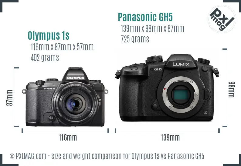 Olympus 1s vs Panasonic GH5 size comparison