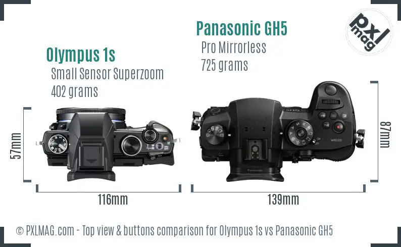 Olympus 1s vs Panasonic GH5 top view buttons comparison