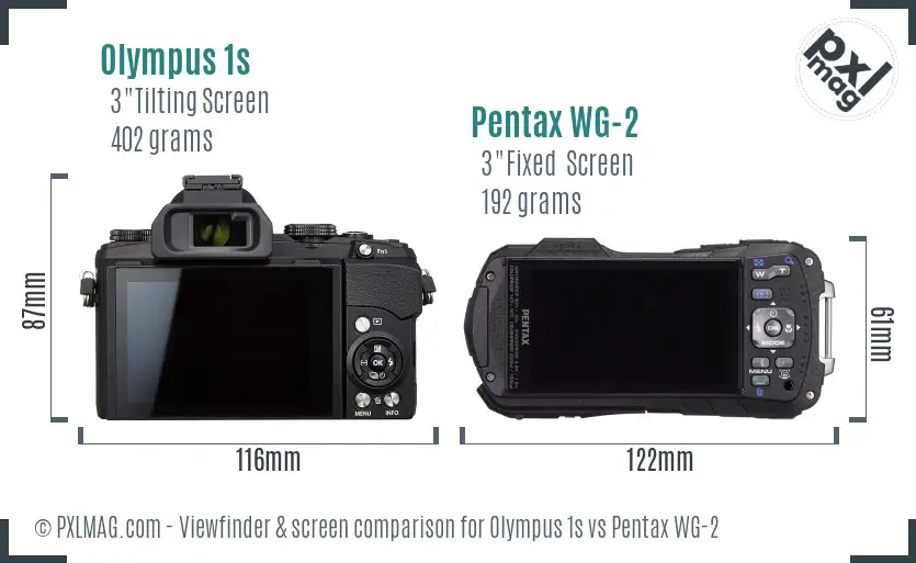 Olympus 1s vs Pentax WG-2 Screen and Viewfinder comparison