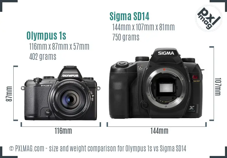 Olympus 1s vs Sigma SD14 size comparison