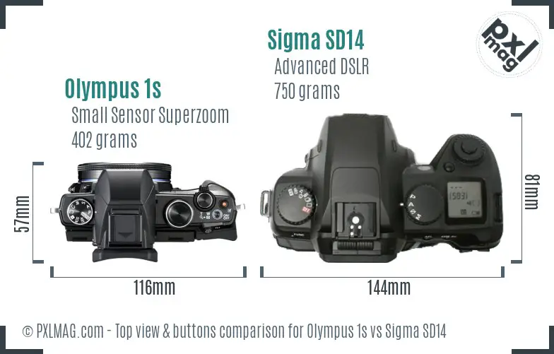 Olympus 1s vs Sigma SD14 top view buttons comparison