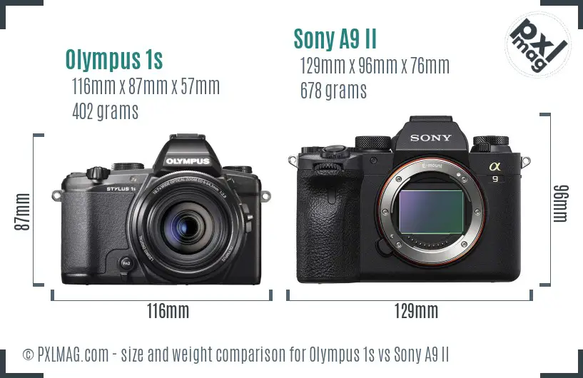 Olympus 1s vs Sony A9 II size comparison