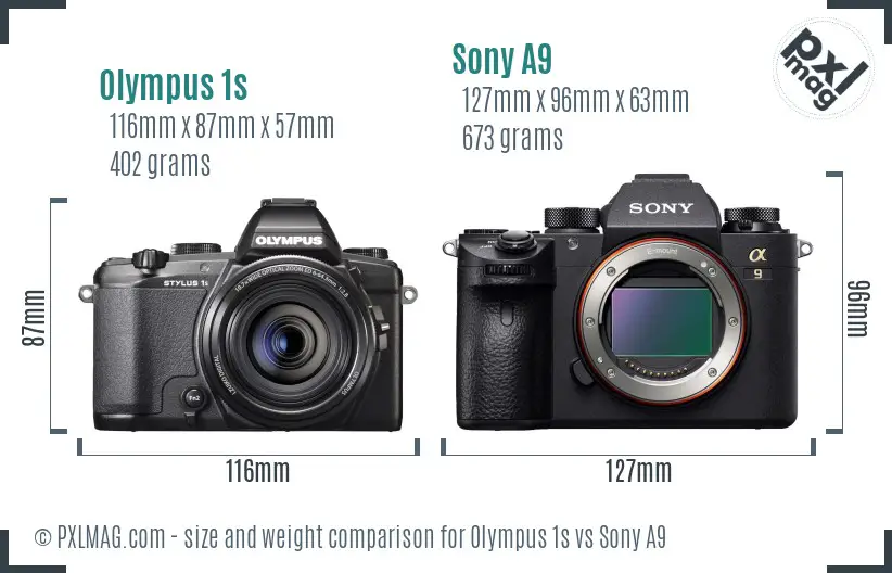 Olympus 1s vs Sony A9 size comparison
