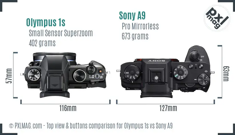 Olympus 1s vs Sony A9 top view buttons comparison