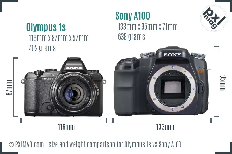 Olympus 1s vs Sony A100 size comparison