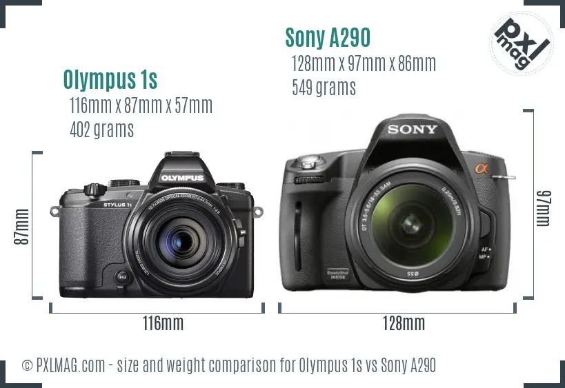 Olympus 1s vs Sony A290 size comparison