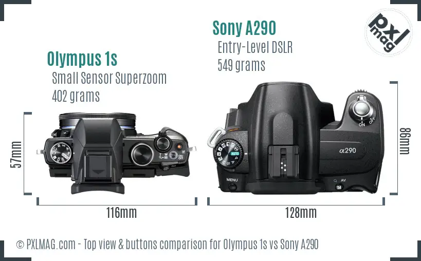 Olympus 1s vs Sony A290 top view buttons comparison