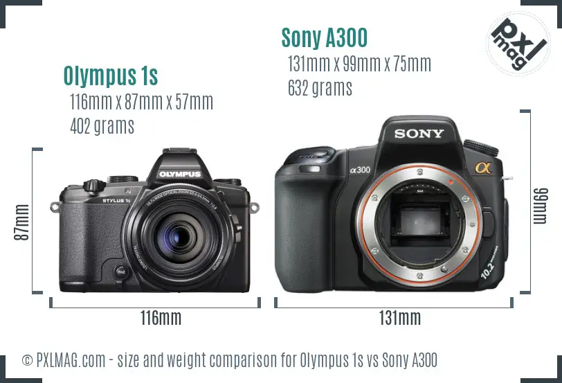 Olympus 1s vs Sony A300 size comparison