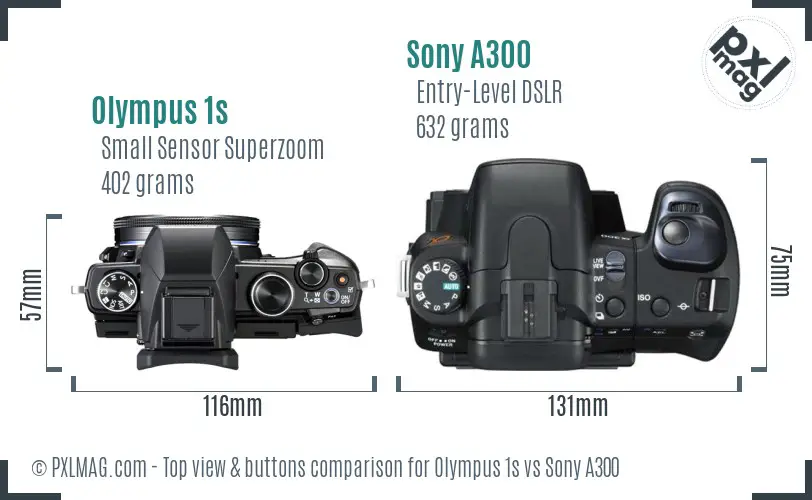 Olympus 1s vs Sony A300 top view buttons comparison