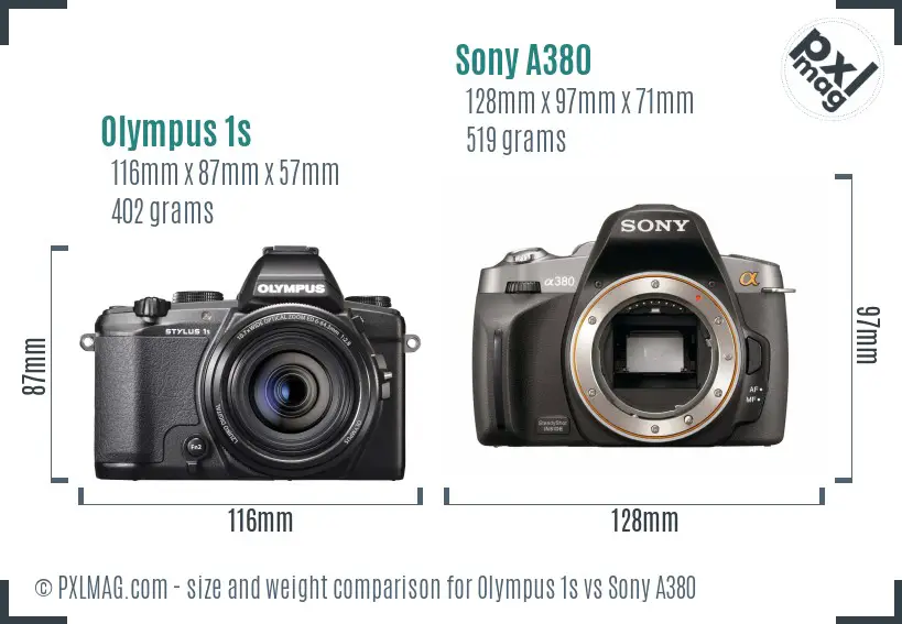 Olympus 1s vs Sony A380 size comparison