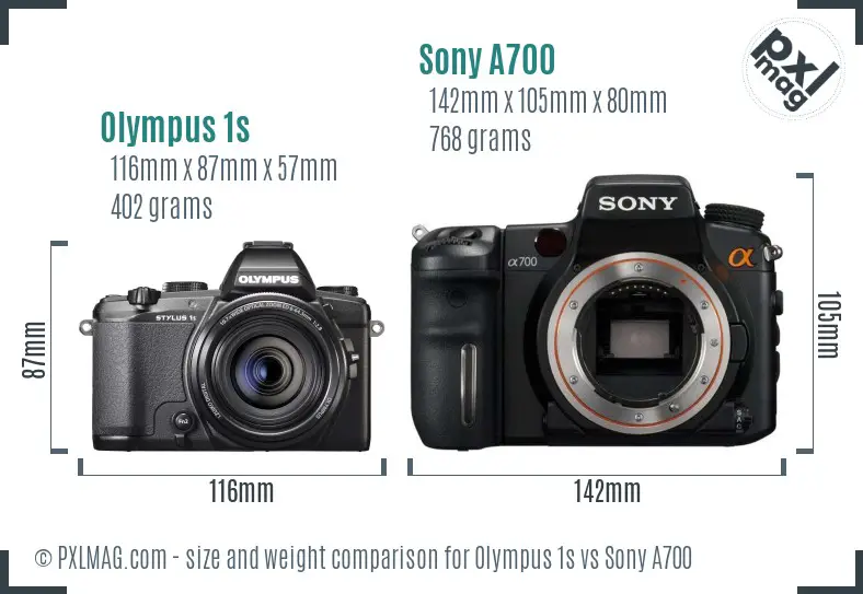 Olympus 1s vs Sony A700 size comparison