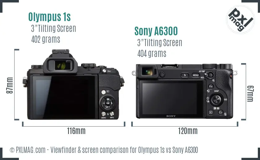 Olympus 1s vs Sony A6300 Screen and Viewfinder comparison