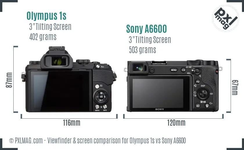 Olympus 1s vs Sony A6600 Screen and Viewfinder comparison