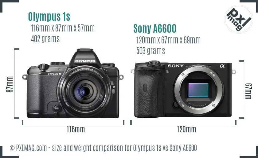 Olympus 1s vs Sony A6600 size comparison