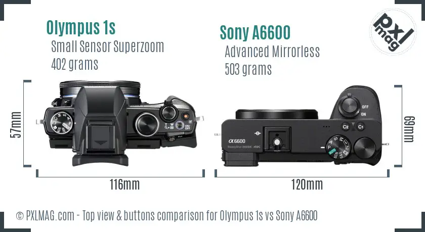 Olympus 1s vs Sony A6600 top view buttons comparison