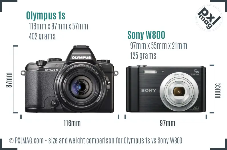 Olympus 1s vs Sony W800 size comparison