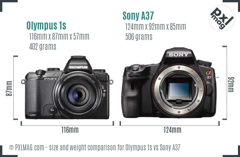 Olympus 1s vs Sony A37 size comparison