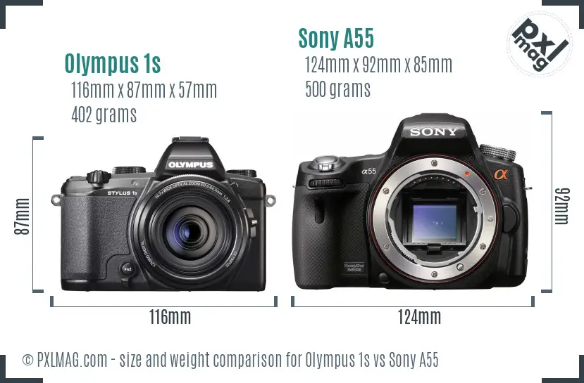 Olympus 1s vs Sony A55 size comparison