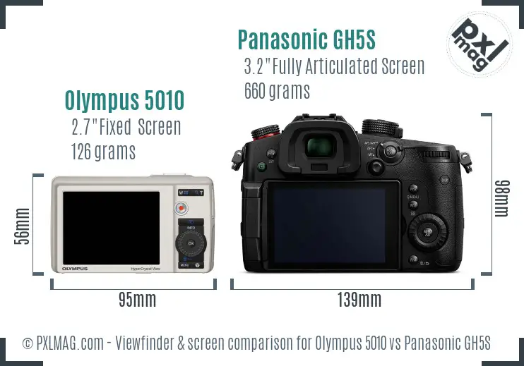 Olympus 5010 vs Panasonic GH5S Screen and Viewfinder comparison