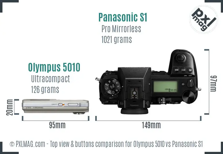 Olympus 5010 vs Panasonic S1 top view buttons comparison