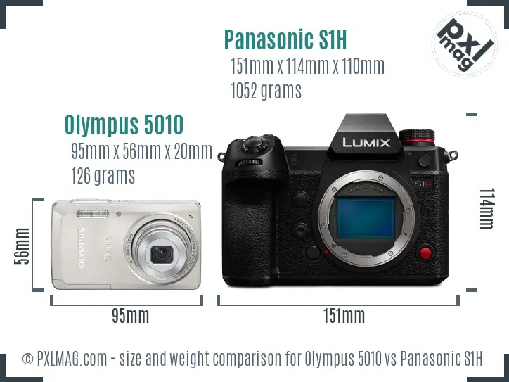 Olympus 5010 vs Panasonic S1H size comparison