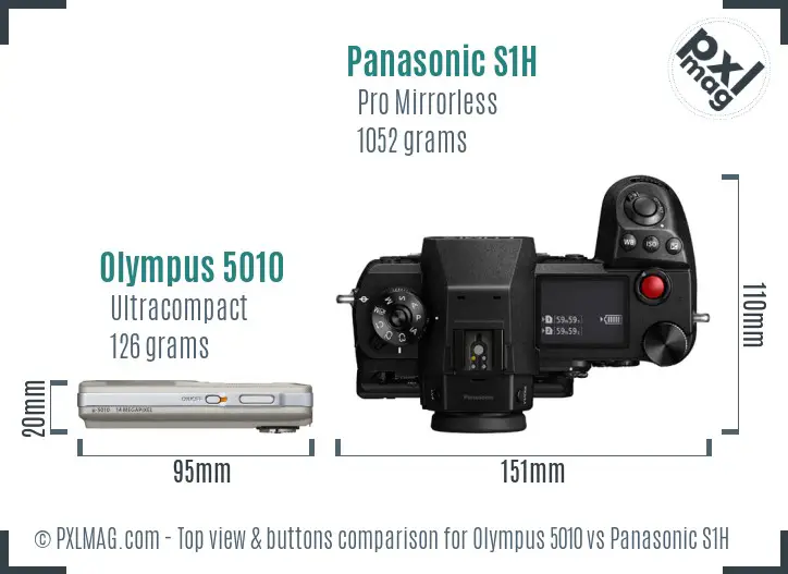 Olympus 5010 vs Panasonic S1H top view buttons comparison