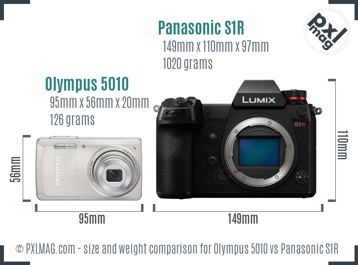 Olympus 5010 vs Panasonic S1R size comparison